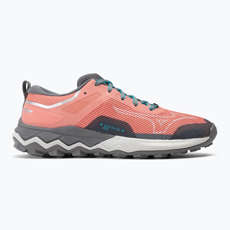 Dámska bežecká obuv Mizuno Wave Ibuki 4 GTX lantana/quiet shade/buebird 2