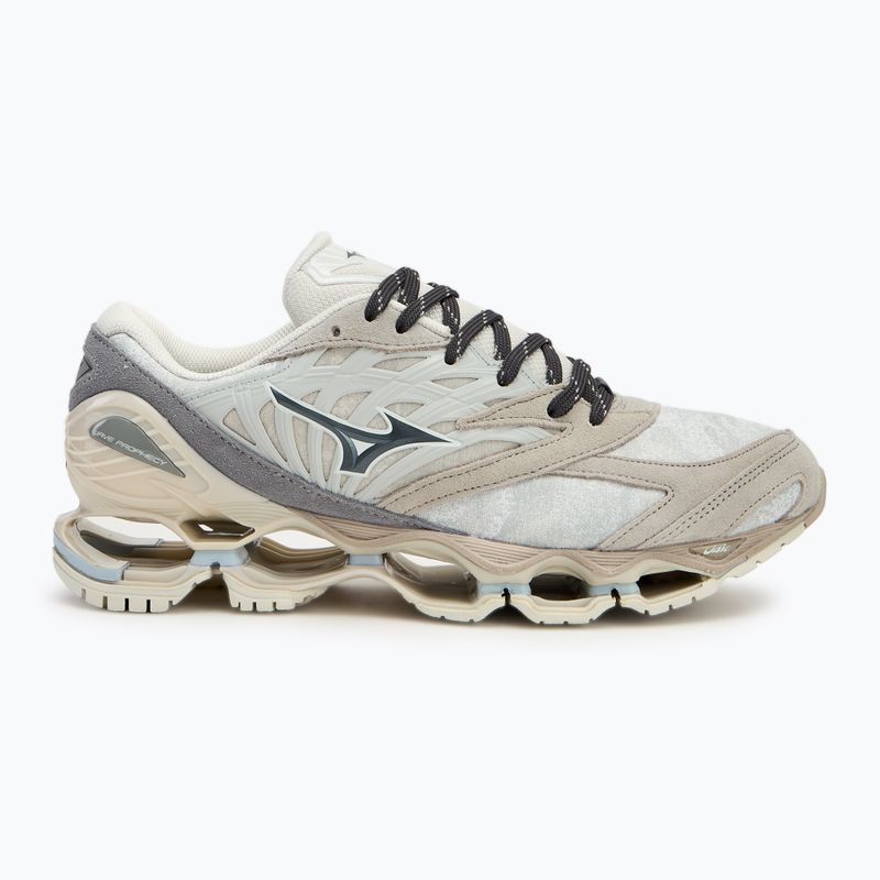Topánky Mizuno Wave Prophecy LS nimbus cloud/magnet/silver cloud 2