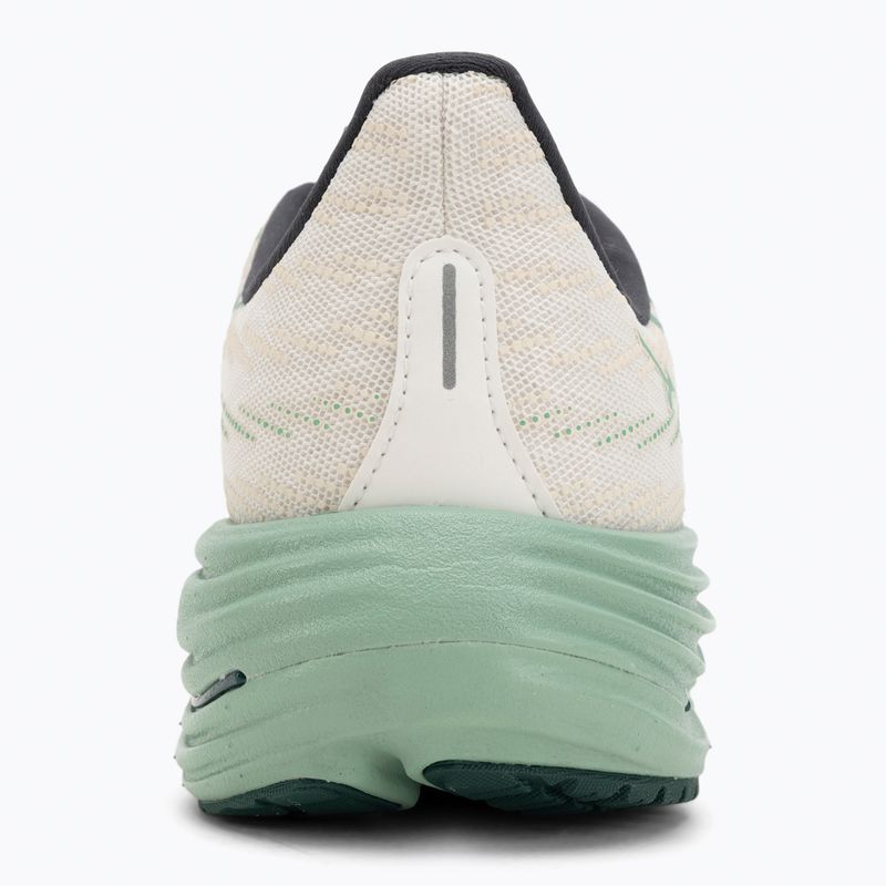 Pánske bežecké topánky Mizuno Wave Rider 29 white/bistro green/creme de me 6