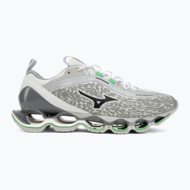 Topánky Mizuno Wave Prophecy 13.2 harbor mist/black/vibrant green 2