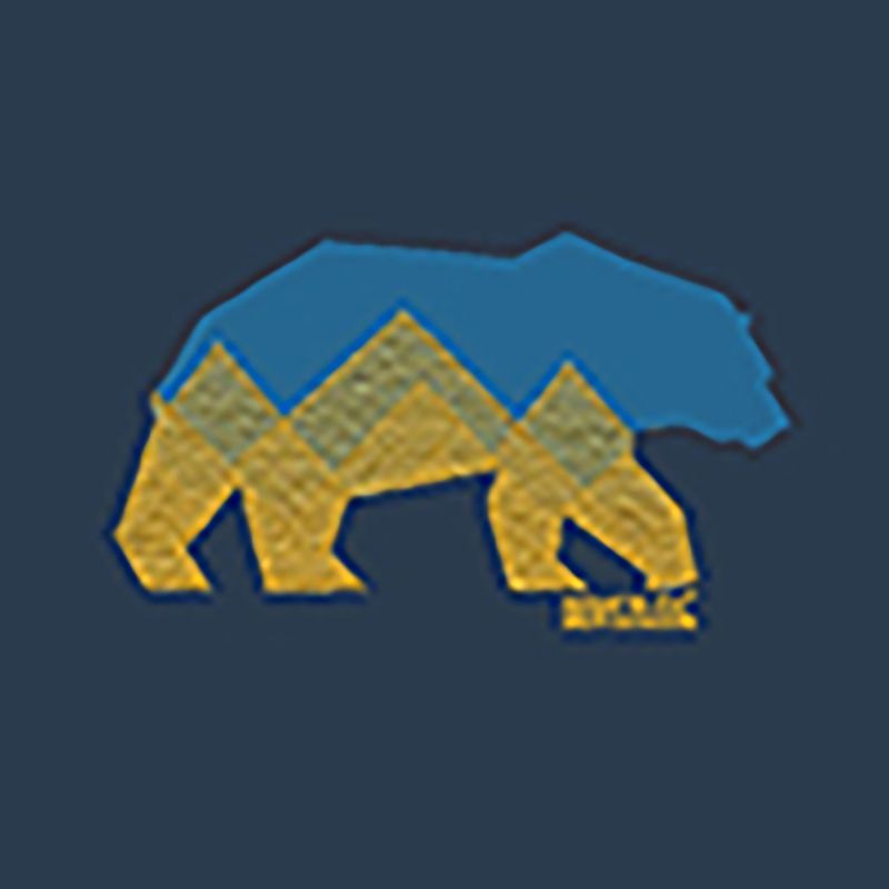 Pánske tričko REGATTA ClineIX moonlight denim bear 8