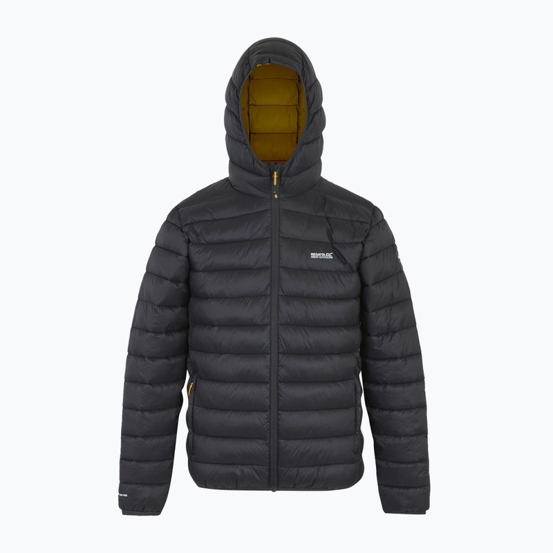 Pánska bunda REGATTA Hooded Marizion ash/gold 8