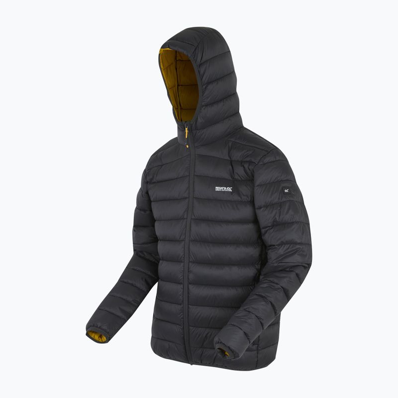 Pánska bunda REGATTA Hooded Marizion ash/gold 10