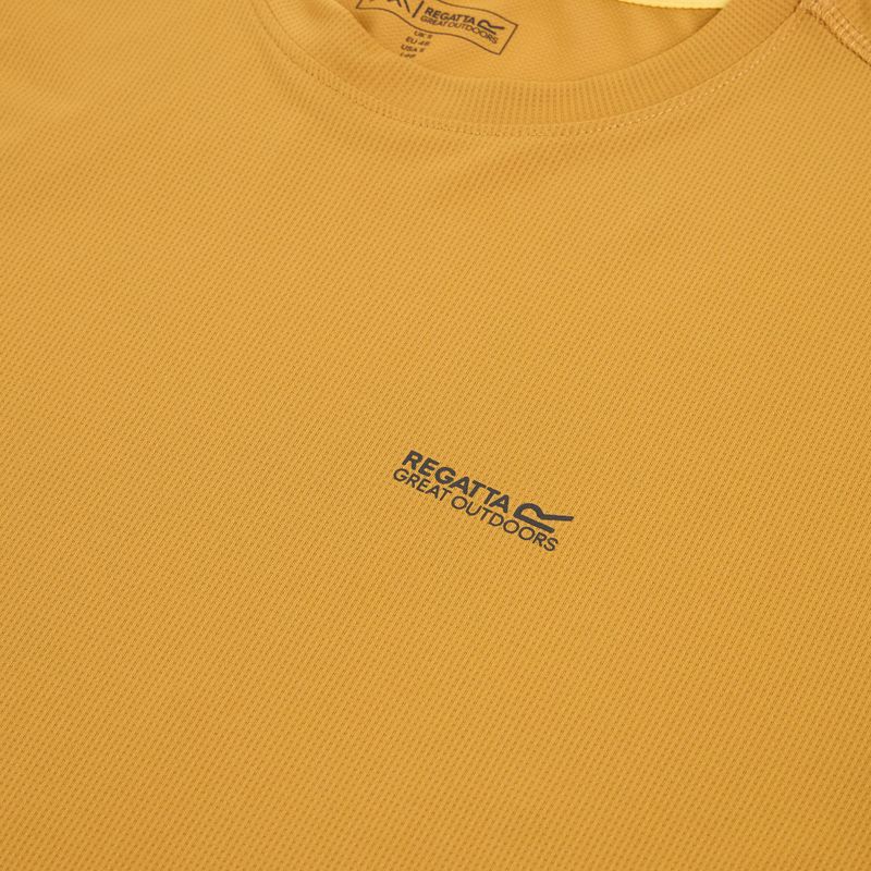 Pánske tričko REGATTA Mindoi Anti Insect wood brown 3