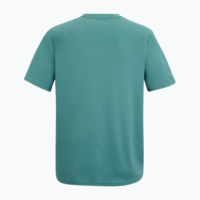 Pánske trekingové tričko REGATTA Fingal arctic 6