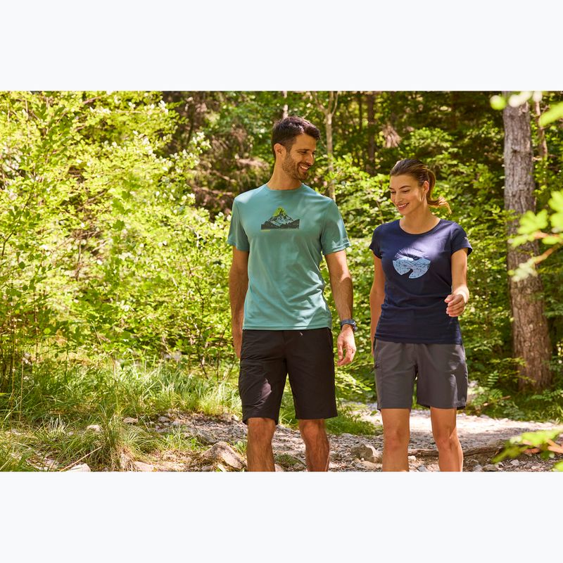 Pánske trekingové tričko REGATTA Fingal arctic 9