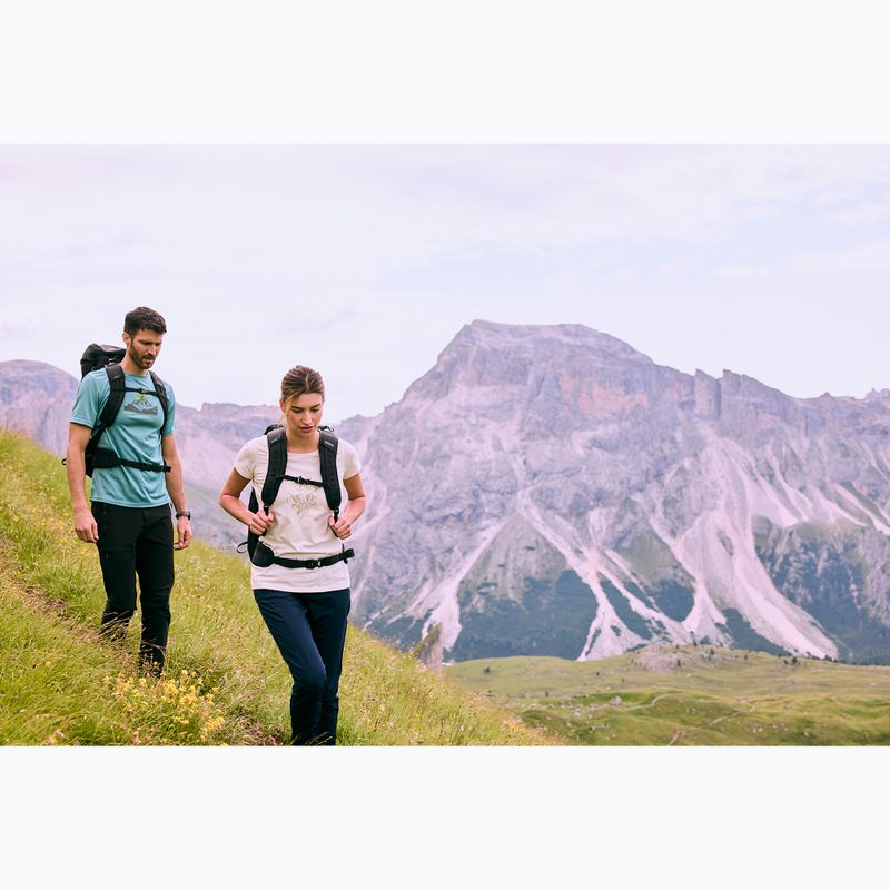 Pánske trekingové tričko REGATTA Fingal arctic 11