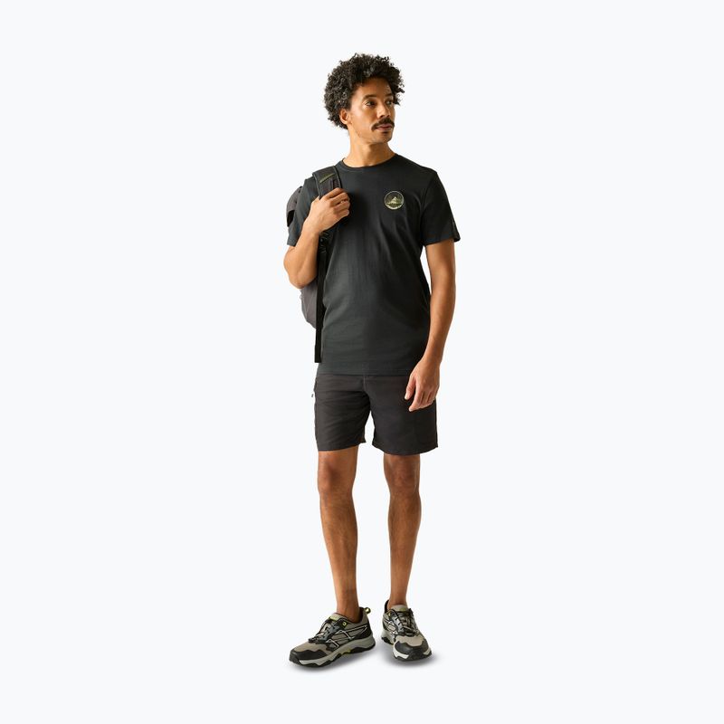 Pánske trekingové tričko REGATTA Breezed ash 2