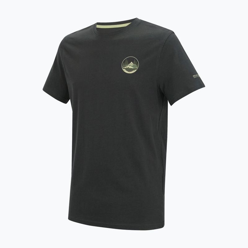 Pánske trekingové tričko REGATTA Breezed ash 7