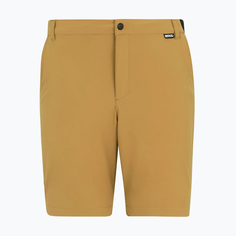 Pánske trekingové šortky REGATTA Anti Insect Travel Light wood brown 5