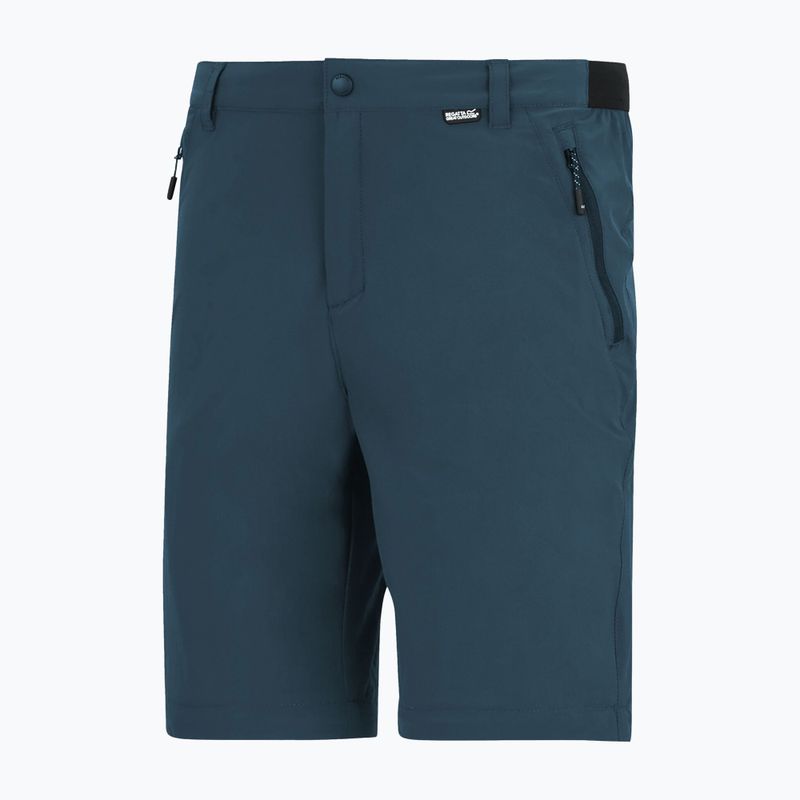 Pánske trekingové nohavice REGATTA Anti Insect Travel Light night sky 6