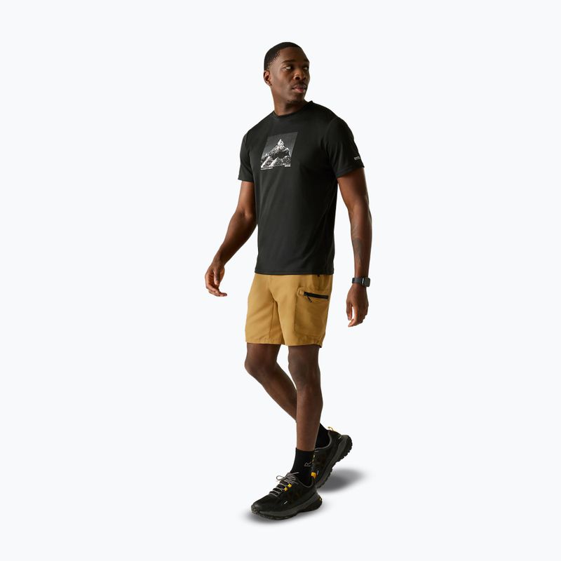 Pánske trekingové šortky REGATTA Leesville III wood brown 2