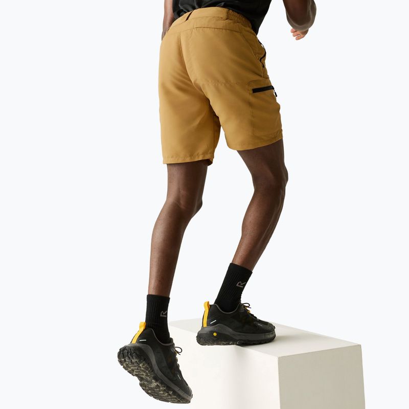 Pánske trekingové šortky REGATTA Leesville III wood brown 4