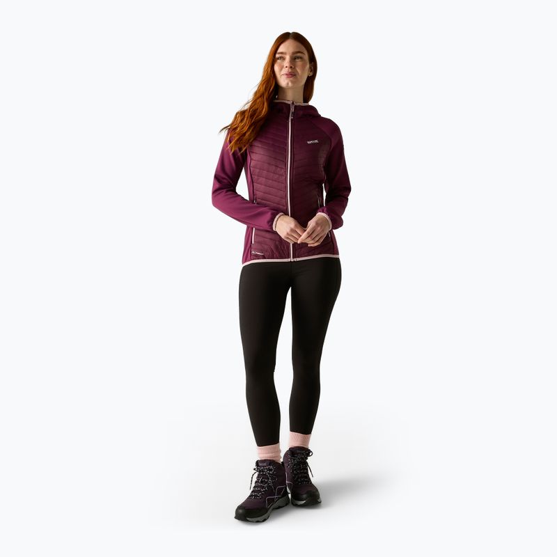 Dámska hybridná bunda REGATTA Andreson Hybrid fig 2