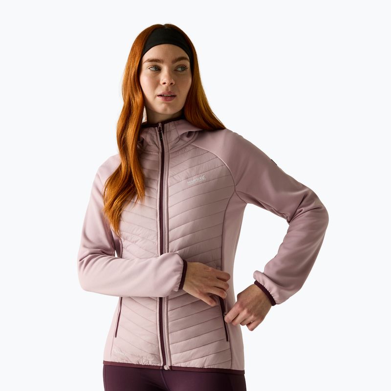 Dámska hybridná bunda REGATTA Andreson Hybrid powder lilac /fig