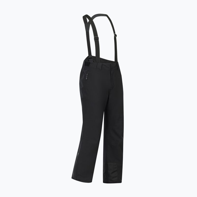 Pánske lyžiarske nohavice Dare 2b Achieve III Pant black 10