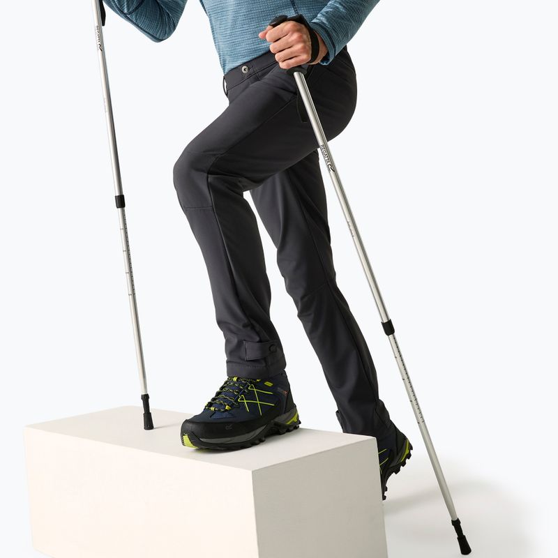 Pánske softshellové nohavice REGATTA Geo Softshell ash 3