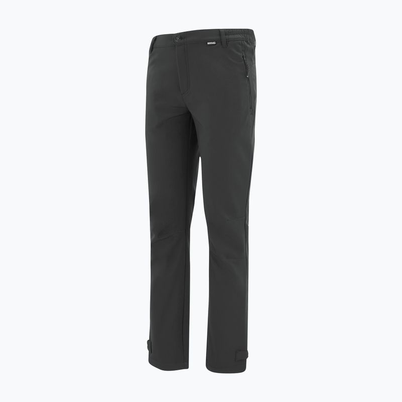 Pánske softshellové nohavice REGATTA Geo Softshell ash 9