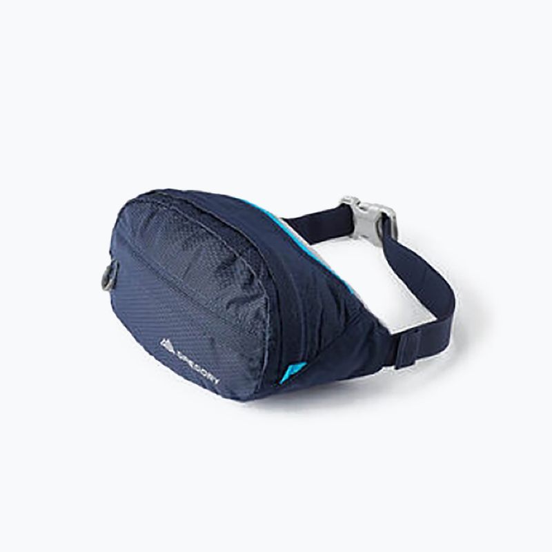 Gregory Nano Waistpack ľadvinové vrecko námornícka modrá 126861 9