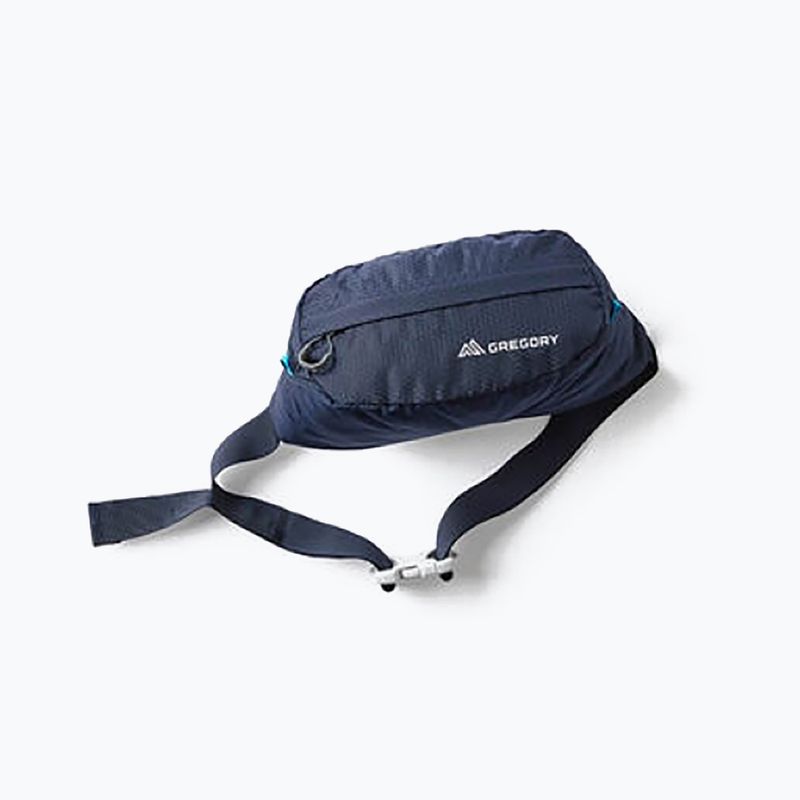 Gregory Nano Waistpack ľadvinové vrecko námornícka modrá 126861 11