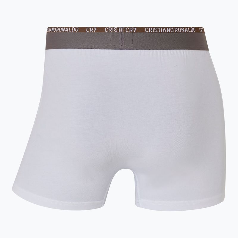 Pánske boxerky CR7 Basic Trunk 3 páry multicolour 6