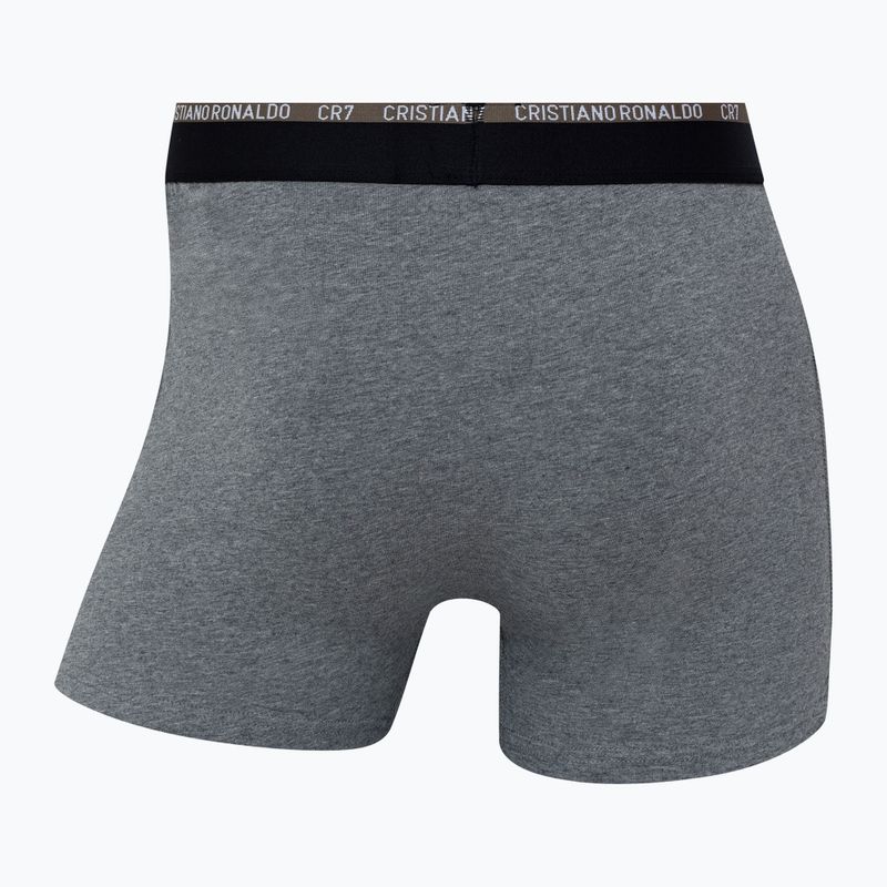 Pánske boxerky CR7 Basic Trunk 10 ks multicolur 11
