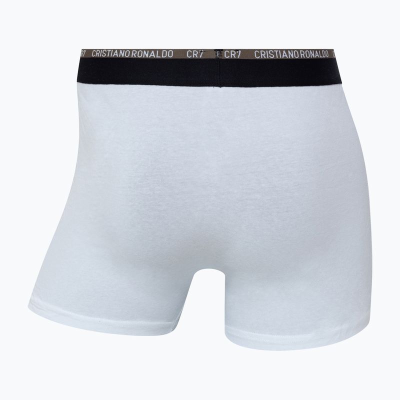 Pánske boxerky CR7 Basic Trunk 10 ks multicolur 13