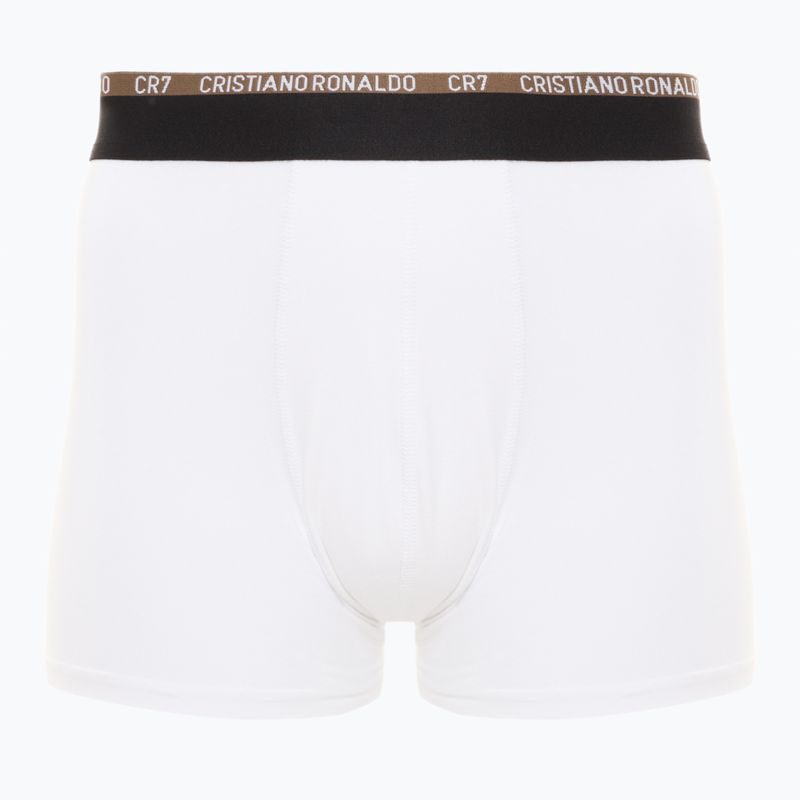Pánske boxerky CR7 Basic Trunk 10 ks multicolur 2