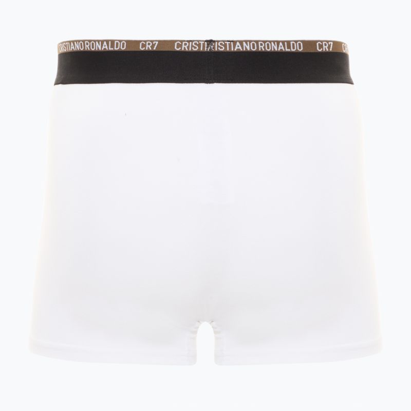 Pánske boxerky CR7 Basic Trunk 10 ks multicolur 5