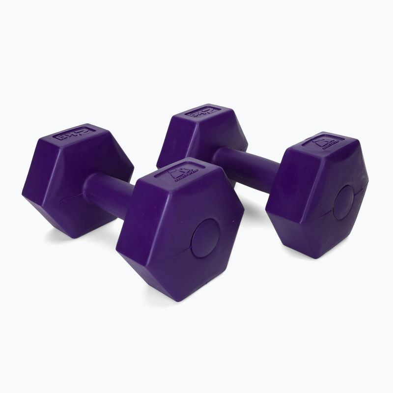 Meteor bitúmenové činky 2 x 2 kg fialové 30166