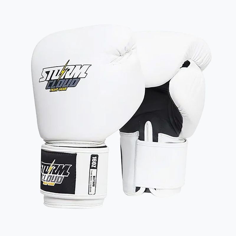 Boxerské rukavice StormCloud Blizzard white/black