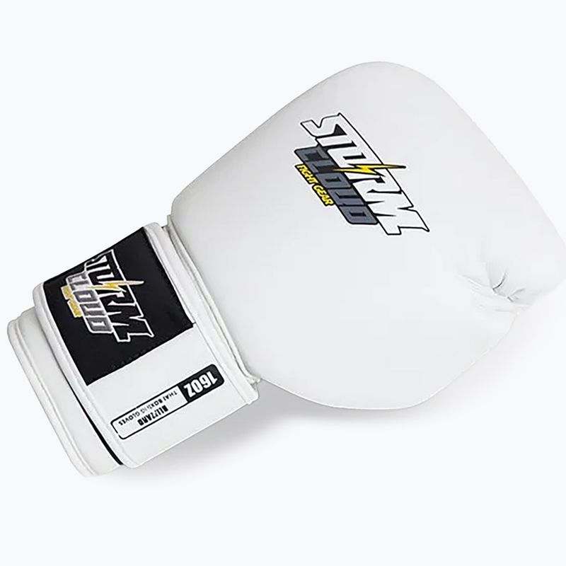 Boxerské rukavice StormCloud Blizzard white/black 5