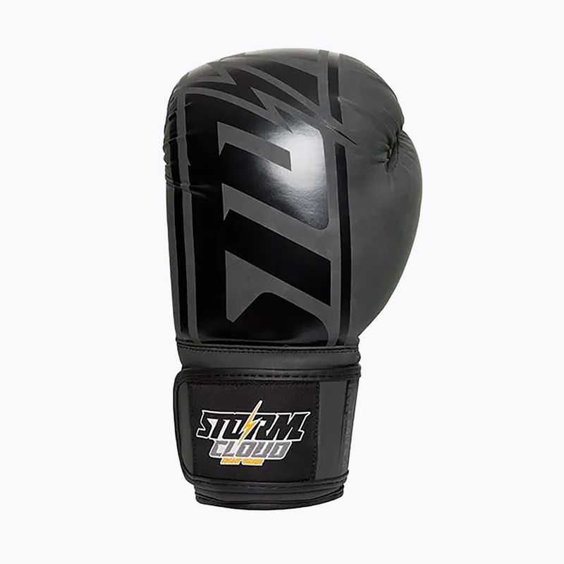 Boxerské rukavice StormCloud Bolt 2.0 black/black 3