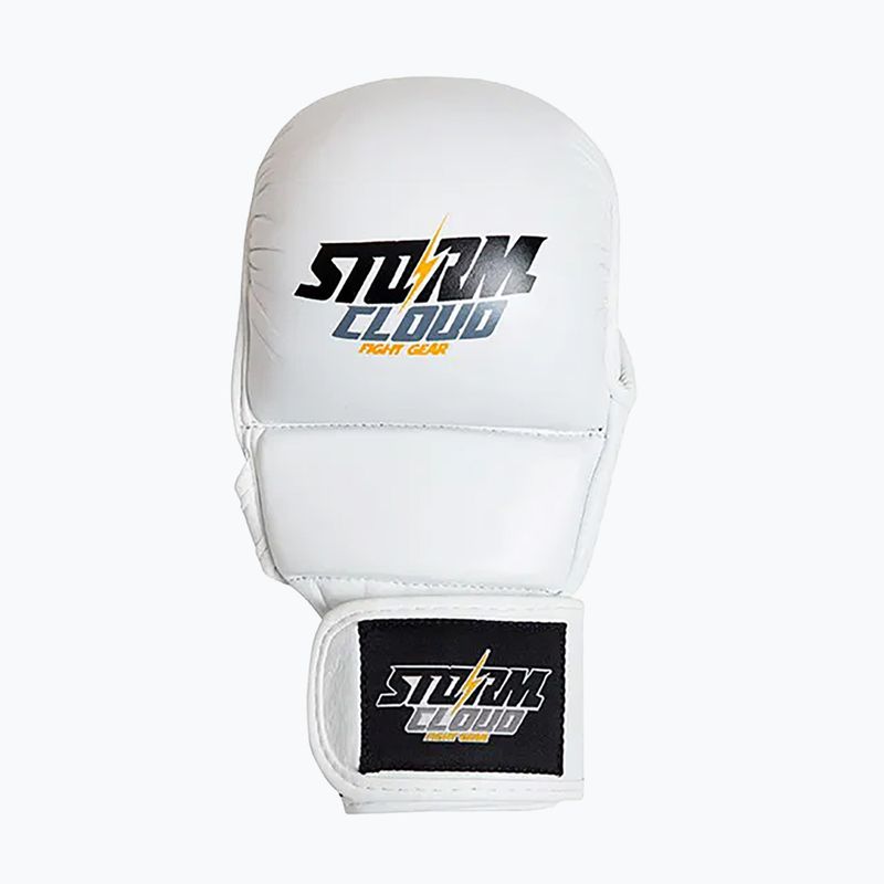 Grapplingové rukavice StormCloud Hurricane white/black 2