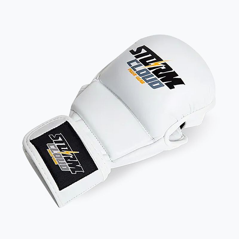 Grapplingové rukavice StormCloud Hurricane white/black 3