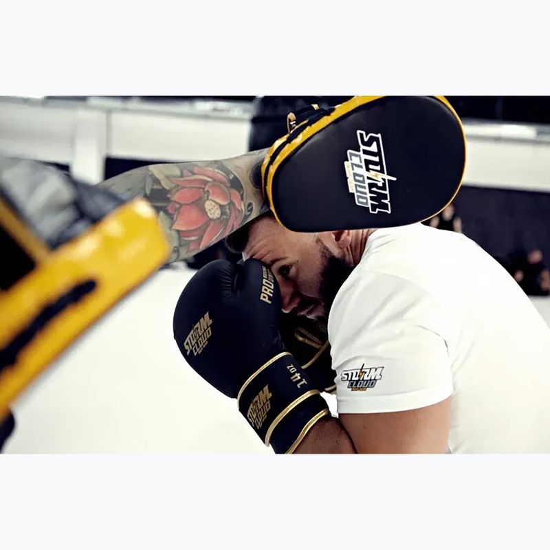 Boxerské rukavice StormCloud Boxing Pro black/gold 14