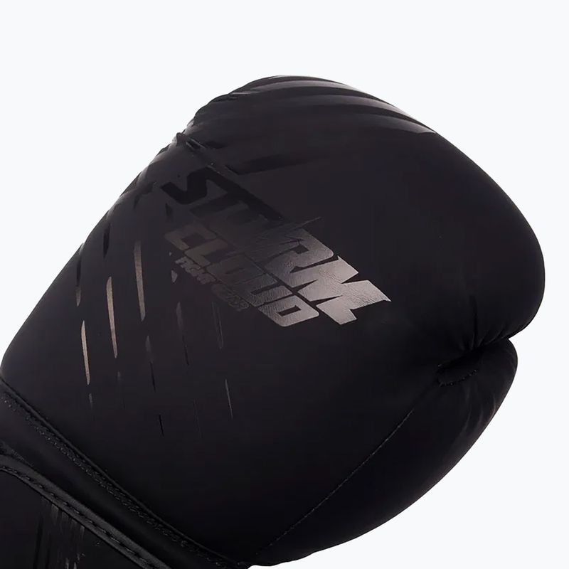Boxerské rukavice StormCloud Lynx black/black 4