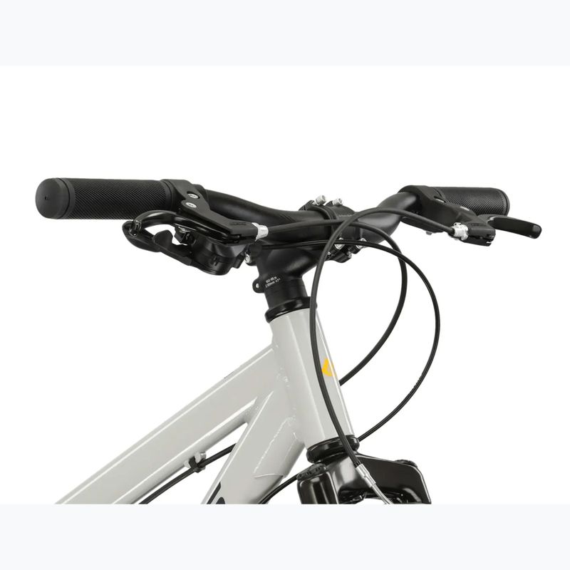 Detský bicykel KROSS Dust Jr 1.0 grey/black/gloss 4