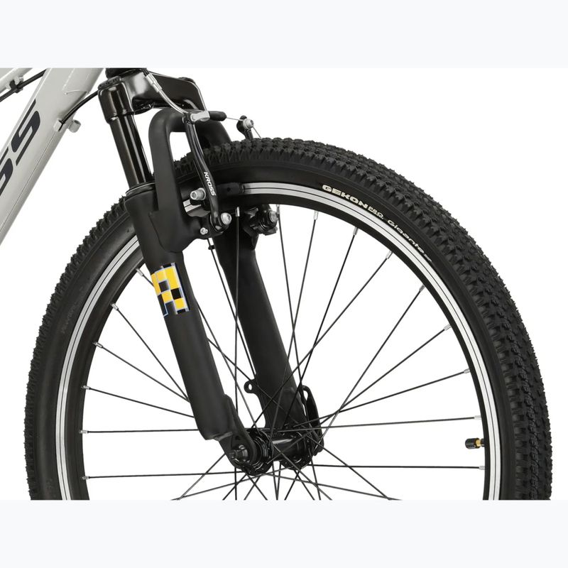 Detský bicykel KROSS Dust Jr 1.0 grey/black/gloss 5
