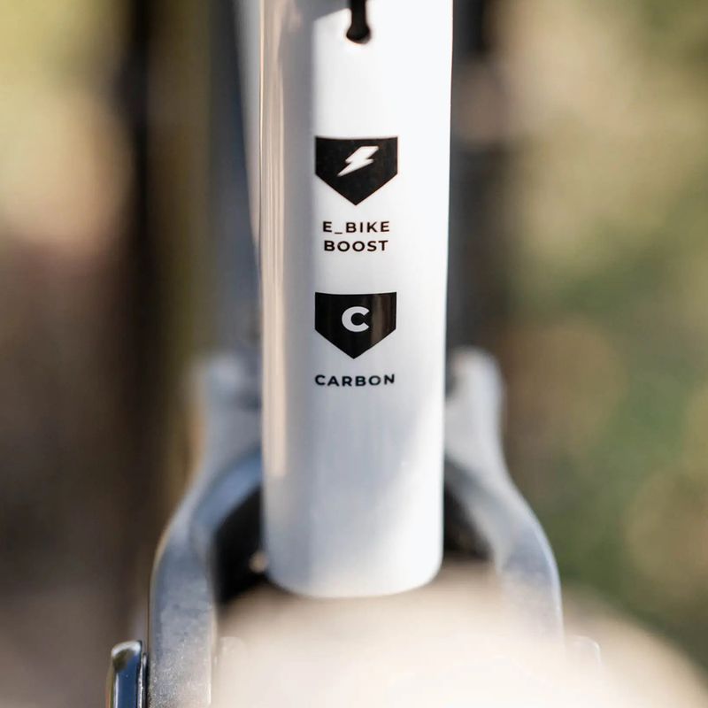 Pánsky elektrický bicykel KROSS Moon Boost 1.0 el. 630 Wh grey/black/gloss 21