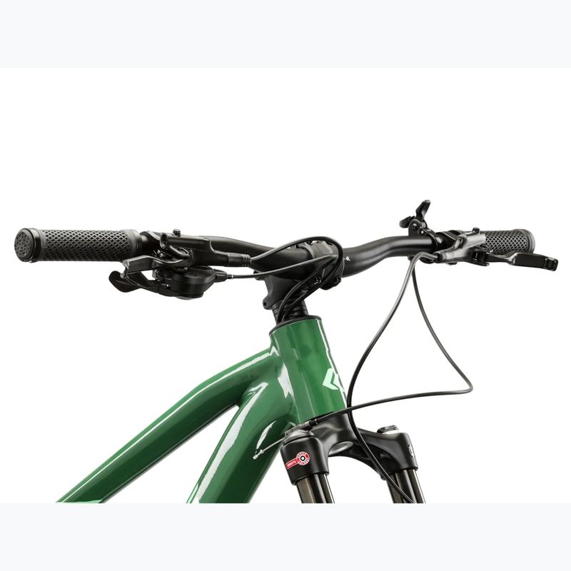 Horský bicykel KROSS Level 5.0 green/green/gloss 4