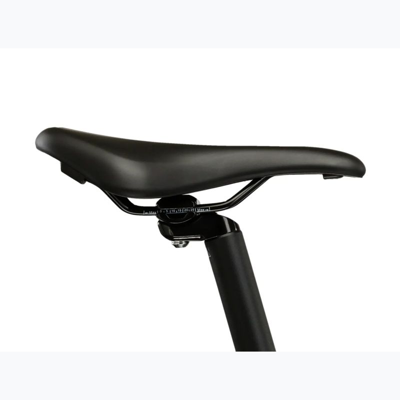 Dámsky horský bicykel KROSS Lea 2.0 W 29 mint/purple/matte 12