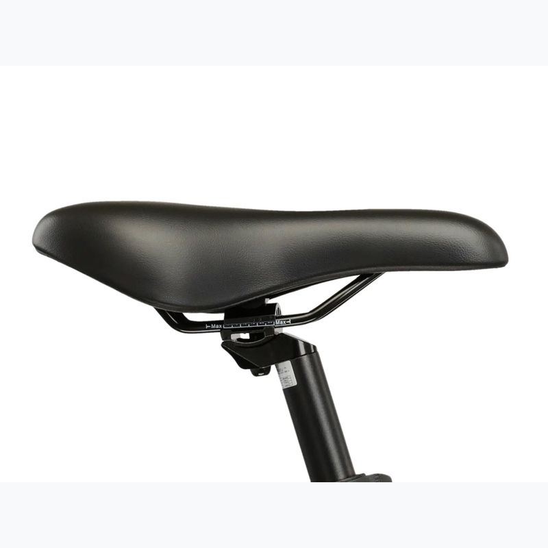 Dámsky horský bicykel KROSS Lea 1.0 silver/white/gloss 11