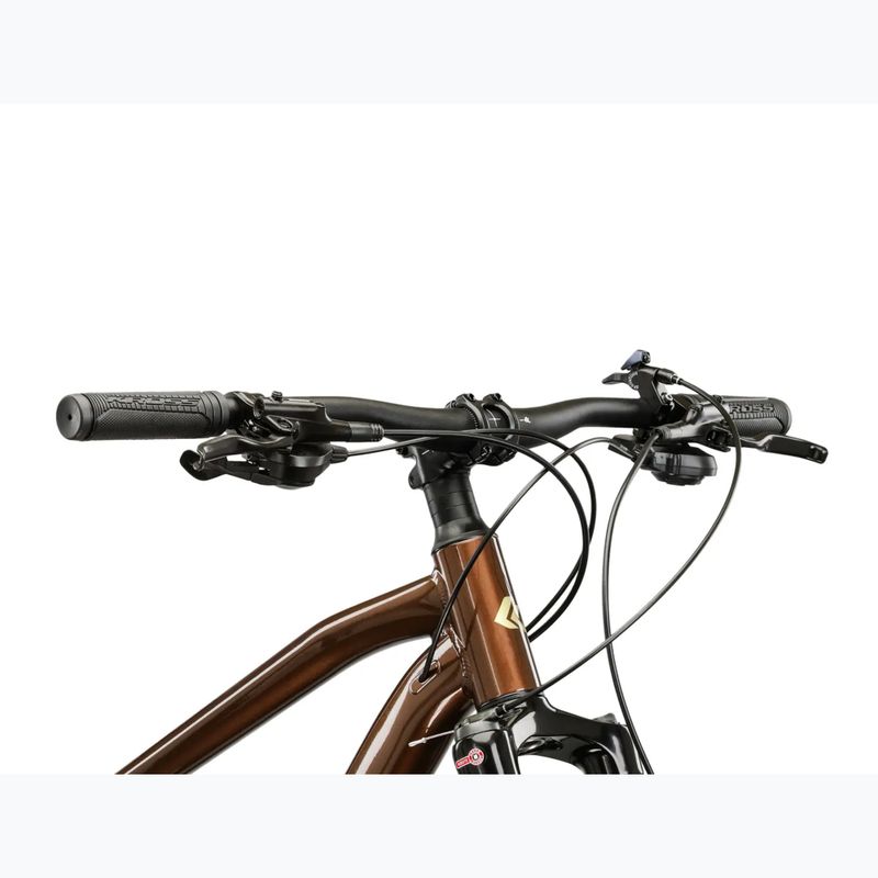 Horský bicykel KROSS Hexagon 5.0 27.5" brown/gold/gloss 4