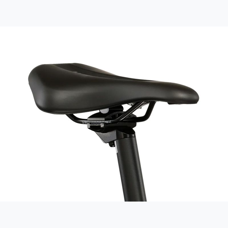 Dámsky crossový bicykel KROSS Evado 2.0 In black/pink 10