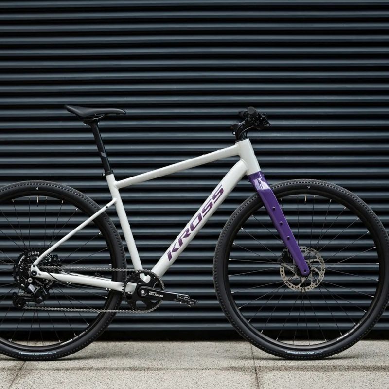 Gravelový bicykel KROSS Esker 1.0 FL grey/purple/gloss 13