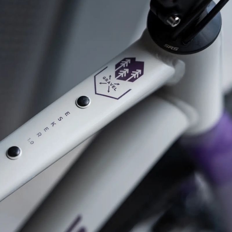 Gravelový bicykel KROSS Esker 1.0 FL grey/purple/gloss 15