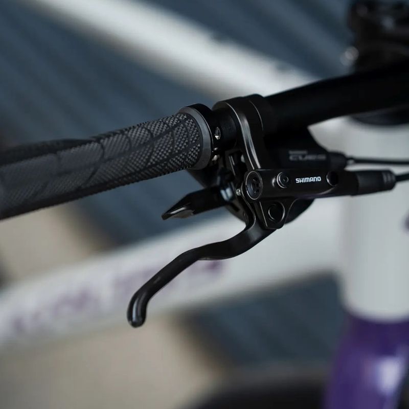 Gravelový bicykel KROSS Esker 1.0 FL grey/purple/gloss 16