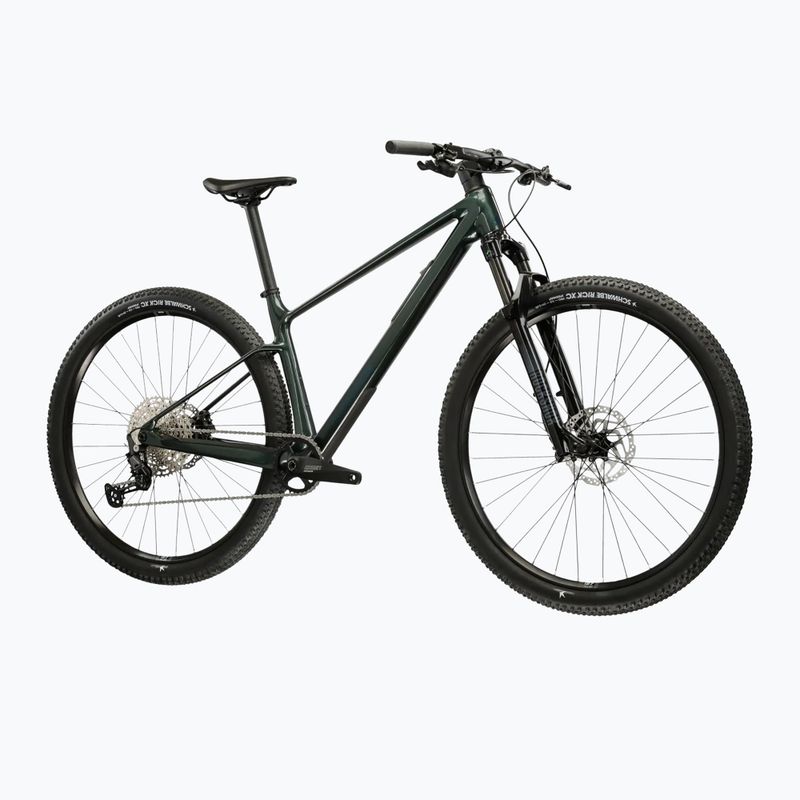 Horský bicykel KROSS Level RS 1.0 green/chameleon/gloss 2