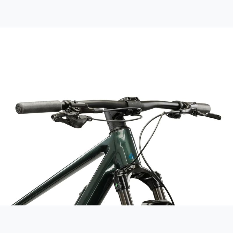 Horský bicykel KROSS Level RS 1.0 green/chameleon/gloss 4
